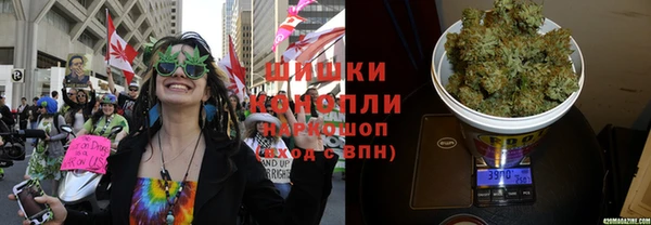 каннабис Алексеевка